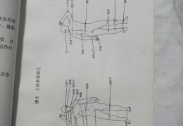 格斗组合1-5套讲解视频教学(格斗组合15套讲解视频教学下载)