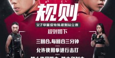 格斗比武竞赛规则图解(格斗比武竞赛规则图解视频)