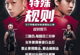 格斗比武竞赛规则图解(格斗比武竞赛规则图解视频)