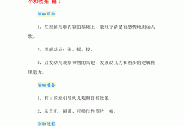 幼儿园小班教案模板(幼儿园小班教案模板20篇)