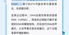 按摩促进大脑发育吗(中医按摩会对大脑发育有帮助吗?)