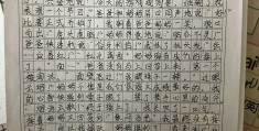 有什么小游戏适合小学生四年级玩(有什么小游戏适合小学生四年级玩的)
