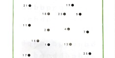 专注力训练288图(专注力训练100图电子版)