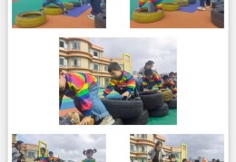 体育游戏分为哪六大类型呢图片(常见的体育游戏分类方法有哪几种?)