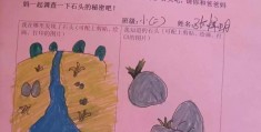 小班石头课程故事(小班石头主题语言领域)