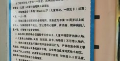 大小孩玩的游戏,店铺起名(大小孩玩的游戏,店铺起名叫什么)