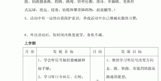 幼儿园户外体育活动的目标是什么(幼儿园户外体育游戏目标与指导重点)
