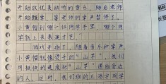 四年级有趣游戏的作文(四年级有趣的游戏的作文)