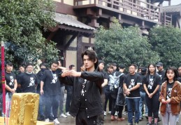 刀剑武打视频在线观看(刀剑武打视频在线观看网站)