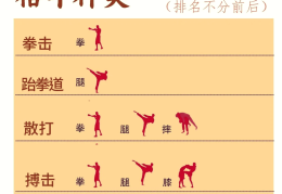 格斗实战技巧教程(格斗术实战基础教学视频)