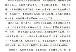 冒险作文儿400字儿(冒险作文怎么写500字)