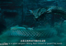 包含冒险好看的电影排行榜前十名大陆盗墓类的的词条