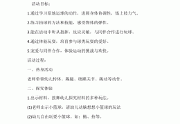 包含幼儿园体育游戏100例小班反思与评价怎么写的词条