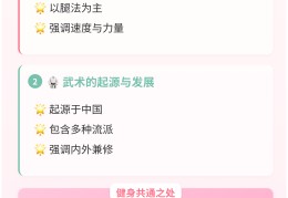 格斗技术介绍(格斗技术介绍ppt)