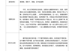 大班体育活动观察记录措施及效果(大班体育活动观察记录措施及效果评价)