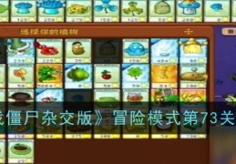 冒险的游戏大全攻略(冒险的游戏大全攻略视频)