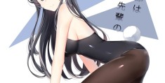 兔女郎会优化吗(兔女郎值得入手吗)