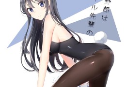 兔女郎会优化吗(兔女郎值得入手吗)