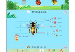 捉虫子教案中班健康活动(捉虫子教案中班健康活动反思)