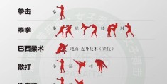 综合格斗常用技术(综合格斗常用技术有哪几种)