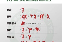 综合格斗常用技术(综合格斗常用技术有哪几种)