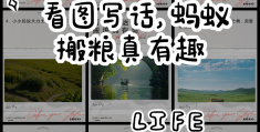 体育活动蚂蚁运粮教案(体育游戏蚂蚁运粮活动目标)