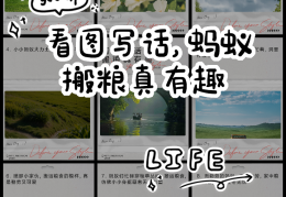 体育活动蚂蚁运粮教案(体育游戏蚂蚁运粮活动目标)