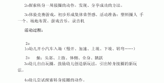 大班体育游戏教学计划(大班体育游戏活动教案目标)