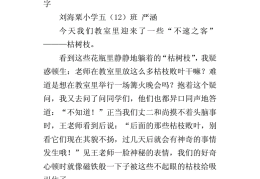 射箭作文500字五年级(小学生射箭的小作文200字)