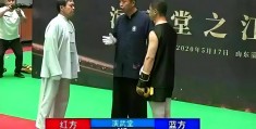 马保国真实格斗视频在线观看(马保国格斗游戏是什么游戏)