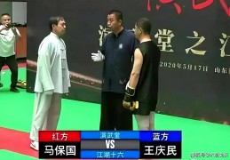 马保国真实格斗视频在线观看(马保国格斗游戏是什么游戏)