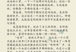 适合四年级游戏有哪些(有什么适合四年级的游戏)