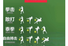 格斗游戏复合技巧视频大全(格斗游戏复合技巧视频大全教学)