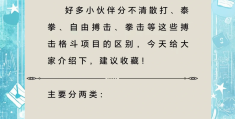 综合格斗术语大全(综合格斗术语大全及解释)