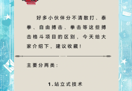综合格斗术语大全(综合格斗术语大全及解释)