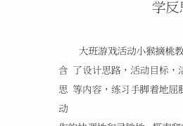 益智游戏乐园教案大班(益智游戏乐园教案大班反思)