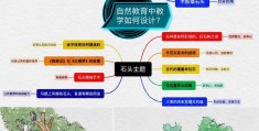 石头主题教案(石头的主题游戏活动)