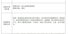 角色游戏重点观察(角色游戏重点观察记录)