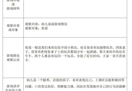 角色游戏重点观察(角色游戏重点观察记录)