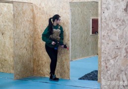 射击后坐力(射击后坐力视频)