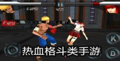 格斗类单机手游大全(好玩的格斗类单机游戏手机)