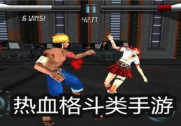 格斗类单机手游大全(好玩的格斗类单机游戏手机)