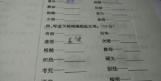 奇异奇妙奇怪区别(奇妙和奇异有什么不同)