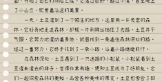 关冒险之旅的作文400字(关冒险之旅的作文400字四年级)