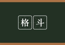 格斗啥意思(格斗啥意思T0)