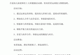 大班跑步接力赛游戏教案(大班跑步接力赛游戏教案及反思)