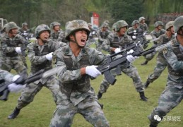 格斗训练心得体会(格斗课心得800字)
