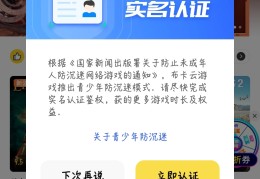 不用实名认证的大游戏(不用实名认证的游戏2021)
