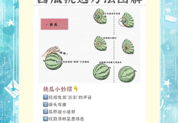 幼儿游戏切西瓜的注意事项(幼儿游戏切西瓜的注意事项是什么)