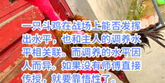 搓斗是什么意思(搓斗是什么意思啊)